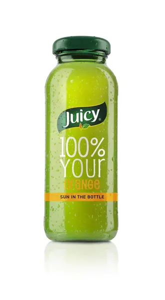 Juicy Portokall 100%  0.2l/P12