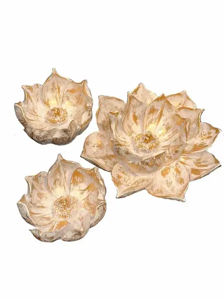 C4180 - Lovely lotus çiçek "